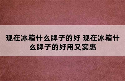 现在冰箱什么牌子的好 现在冰箱什么牌子的好用又实惠